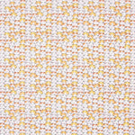 Algodão Gatinhos Sorte - Ribes y Casals