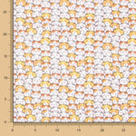 Algodão Gatinhos Sorte - Ribes y Casals