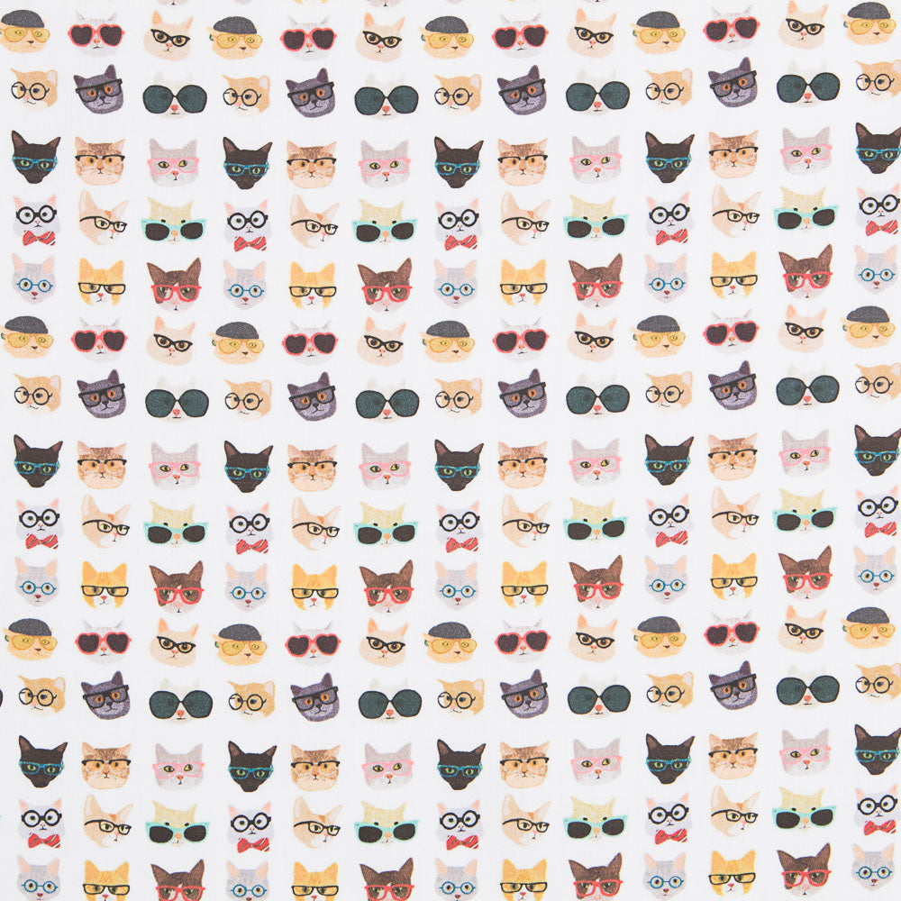 Algodão Gatos Hipster - Ribes y Casals