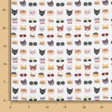 Algodão Gatos Hipster - Ribes y Casals