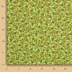 Algodão Jardim Verde - Ribes y Casals