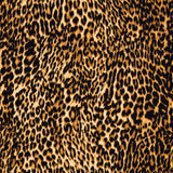 Algodão Leopardo - Ribes y Casals