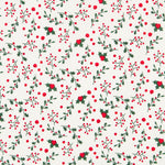 Algodão Visco Cru - Ribes y Casals