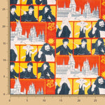 Algodão Harry Potter Friends - Ribes y Casals