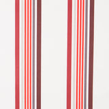 Algodão Resina Espiral Listras Camel - Ribes y Casals