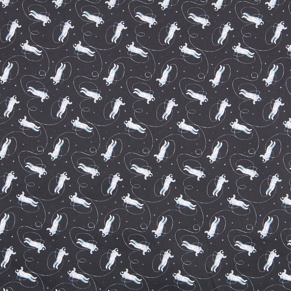 Viagem de Algodão à Lua - Ribes y Casals