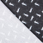 Viagem de Algodão à Lua - Ribes y Casals