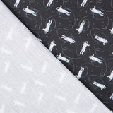 Viagem de Algodão à Lua - Ribes y Casals