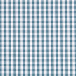 Algodão Vichy Maxi Canard - Ribes y Casals