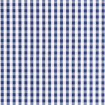 Algodão Vichy Maxi Navy - Ribes y Casals