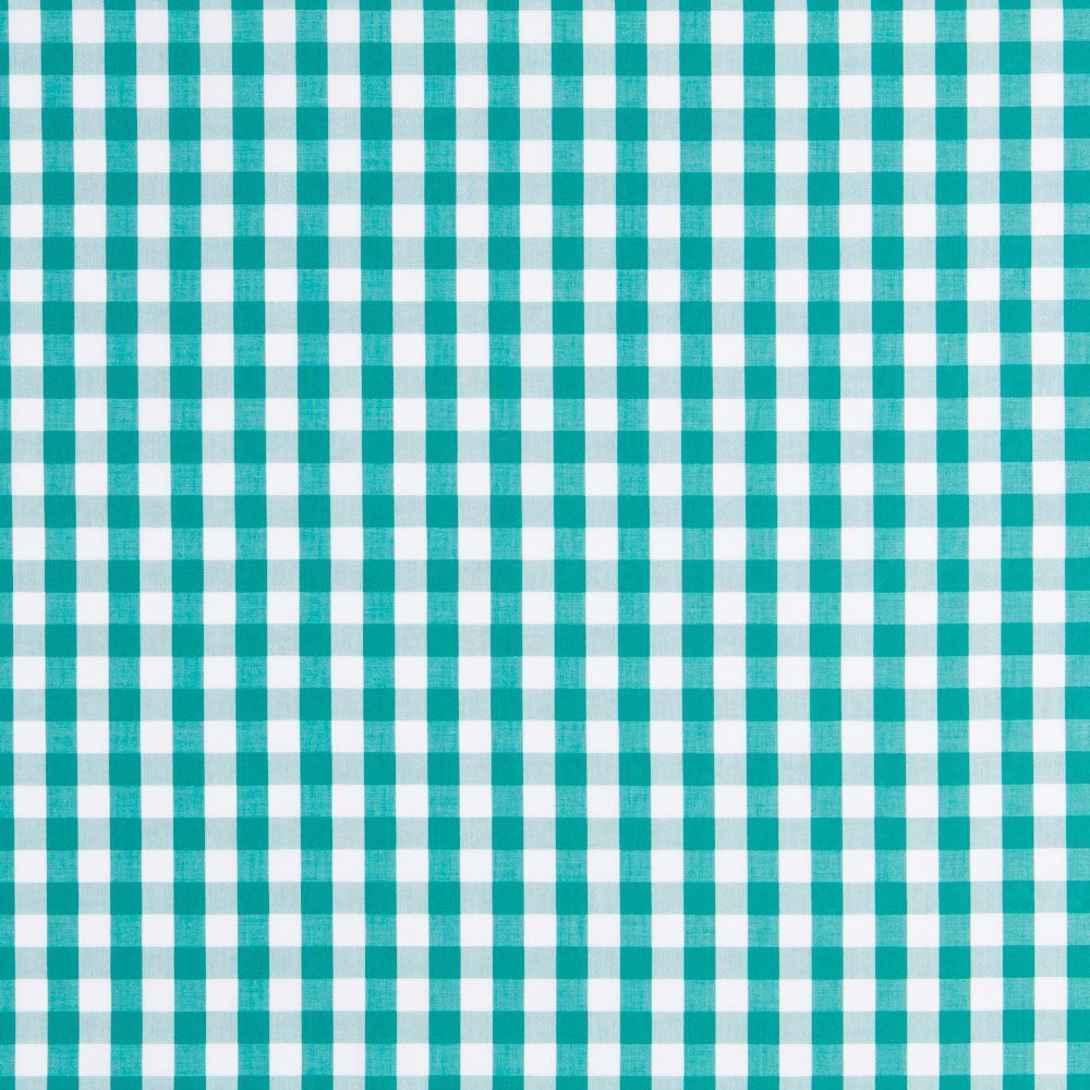 Algodão Vichy Maxi Verde - Ribes y Casals