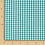 Algodão Vichy Médio Verde - Ribes y Casals