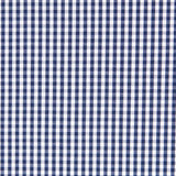 Algodão Vichy Mini Navy - Ribes y Casals