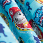 Algodão Patrulha Canina Azul - Ribes y Casals