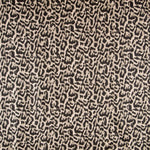 Antelina moda - Ribes y Casals