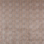 Antelina moda - Ribes y Casals