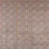 Antelina moda - Ribes y Casals