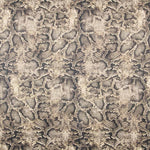 Suede Snake Bege - Ribes y Casals