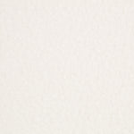 Baguilla Abrigo Crudo - Ribes y Casals