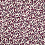 Bambula Dehli Vinho - Ribes y Casals