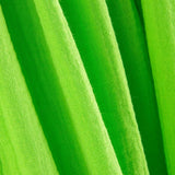 Bambula Algodão Bambula Verde Papagaio - Ribes y Casals