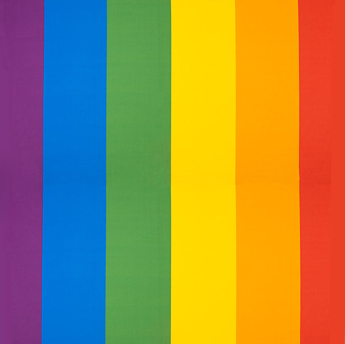 Bandeira do Orgulho Multicolorida Maxi - Ribes y Casals