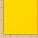 Bandeira do Orgulho Multicolorida Maxi - Ribes y Casals