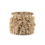 Fita de Renda Beige 22 mm - Ribes y Casals