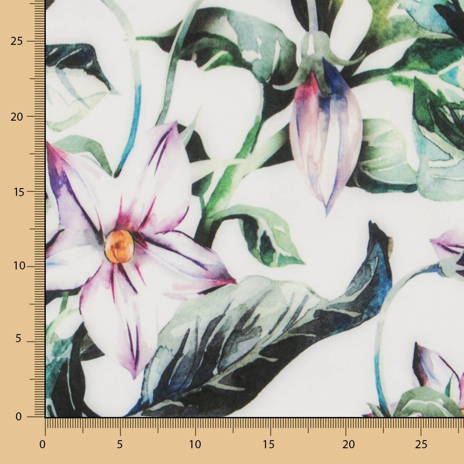 Tea Stretch - Ribes y Casals