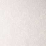 Brocado Lurex Prata Branco - Ribes y Casals