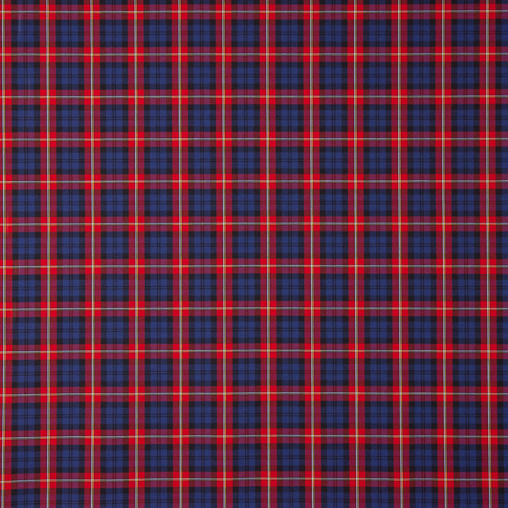 Camisa Algodão Tartan Azul Marinho - Ribes y Casals