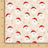 Canvas Navidad Santa Claus - Ribes y Casals