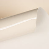 Eco-Couro Envernizado Rígido Liso Cru - Ribes y Casals