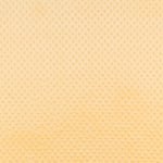 Coralina color - Ribes y Casals