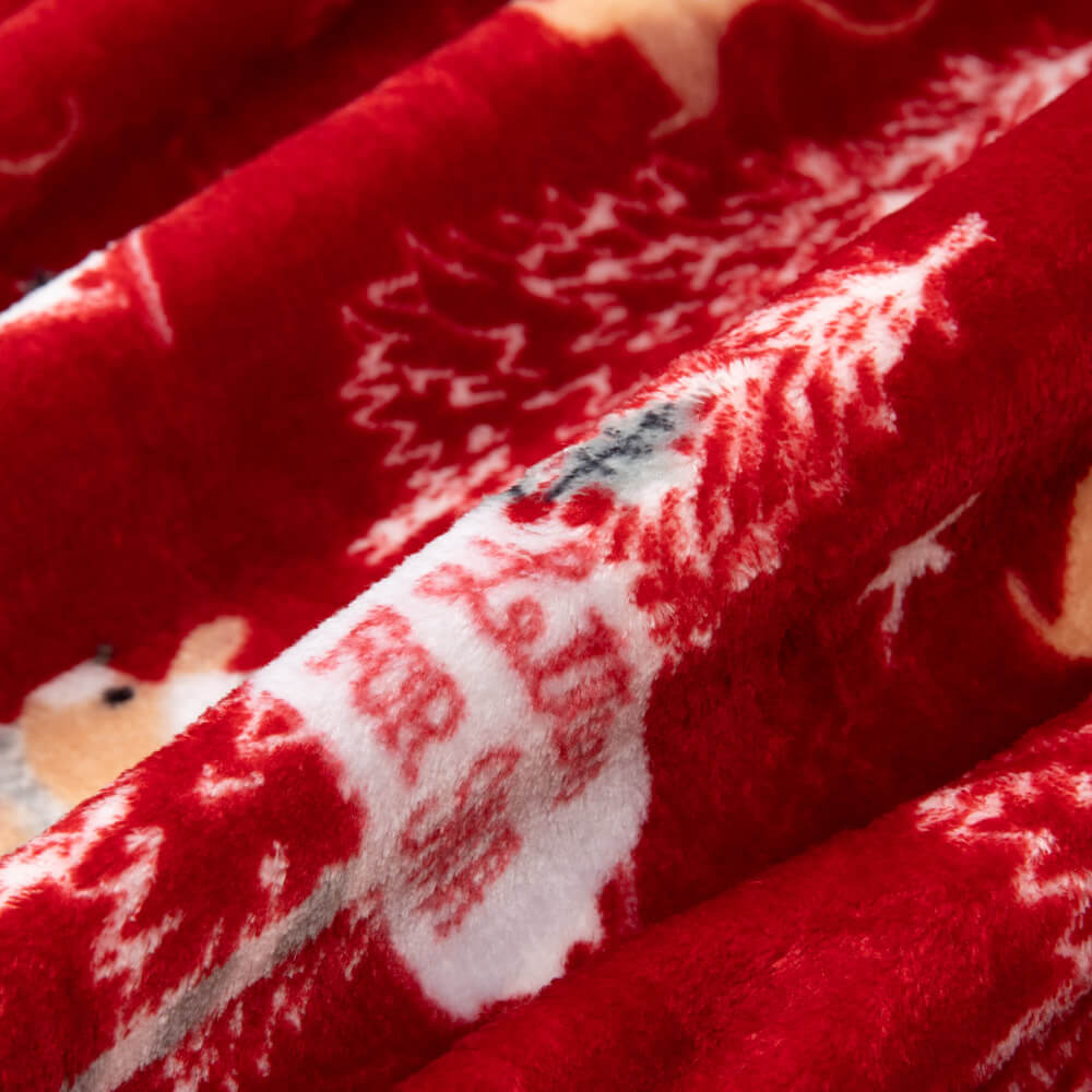 Coralina Letters Granada - Ribes y Casals