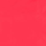 Cortavientos Poliester Rojo - Ribes y Casals