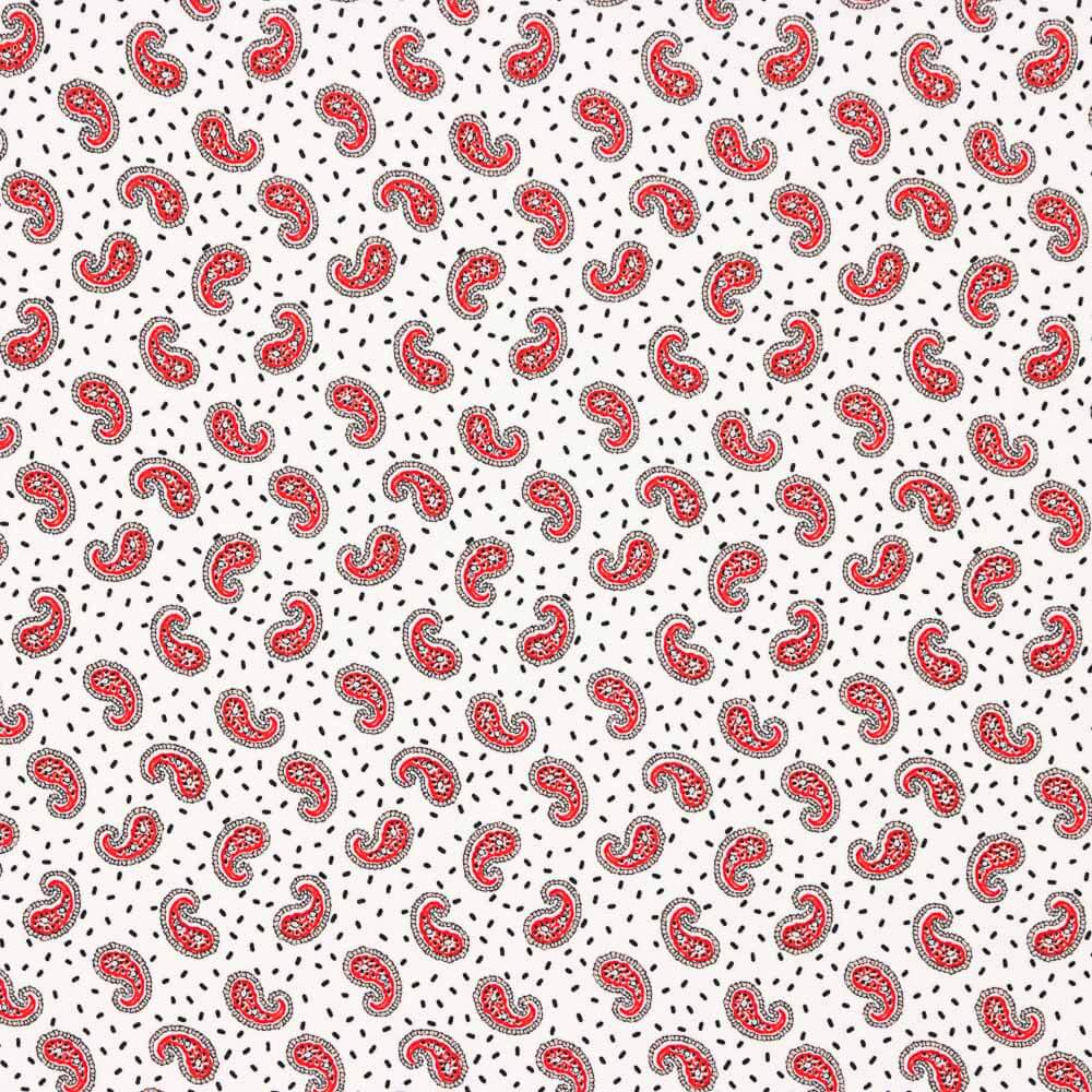 Crepe Poliéster Mini Caxemira Branco - Ribes y Casals