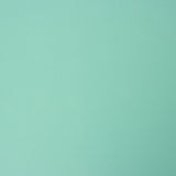 Crepe Poliéster Verde Menta - Ribes y Casals