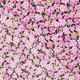 Crepe Viscose Flores Rosa - Ribes y Casals