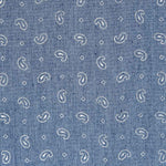 Denim Paisley Azul - Ribes y Casals