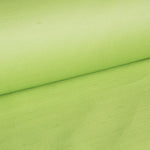 Dupión Seda Pistacho - Ribes y Casals