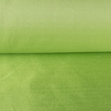 Dupión Seda Pistacho - Ribes y Casals