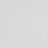 Renda Rebrodé Branca - Ribes y Casals