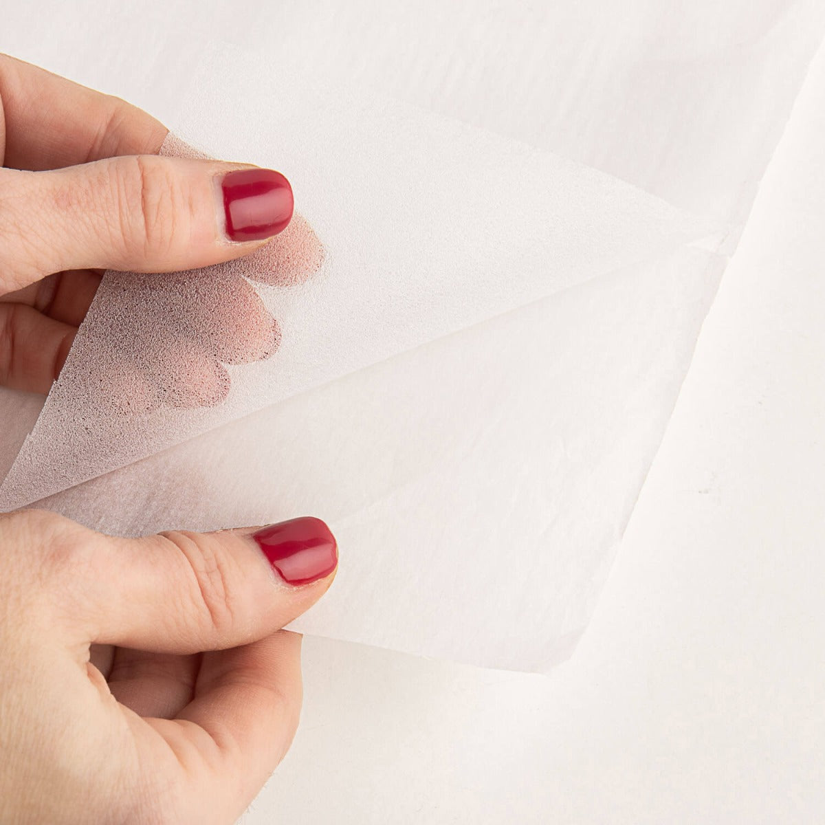 Entretela Teia de Aranha Branca - Ribes y Casals