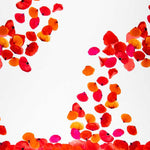 Fama Flamenca - Ribes y Casals