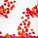 Fama Flamenca - Ribes y Casals