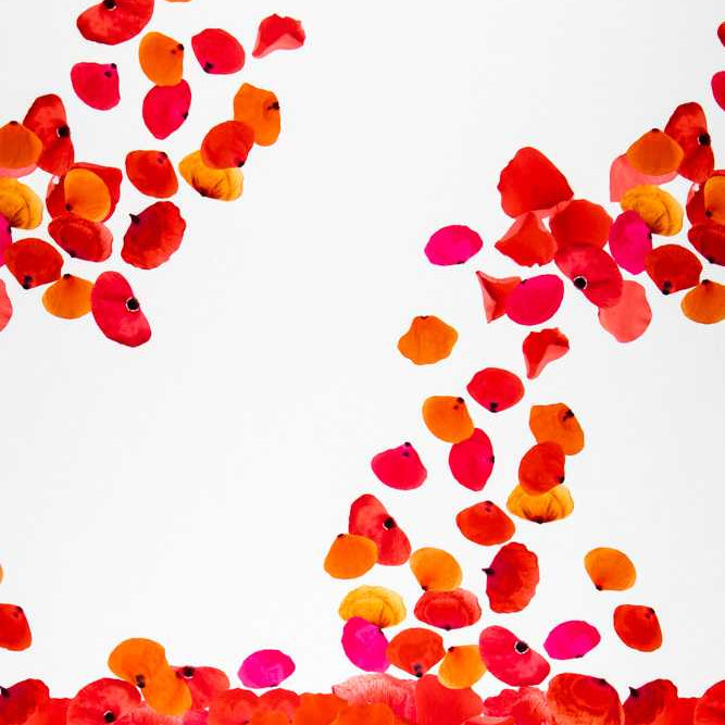 Fama Flamenca - Ribes y Casals