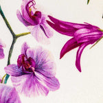 Fama Flamenca - Ribes y Casals