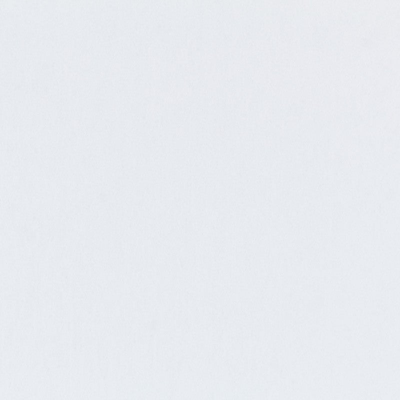 fieltro 160 - Ribes y Casals