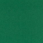 fieltro 160 - Ribes y Casals